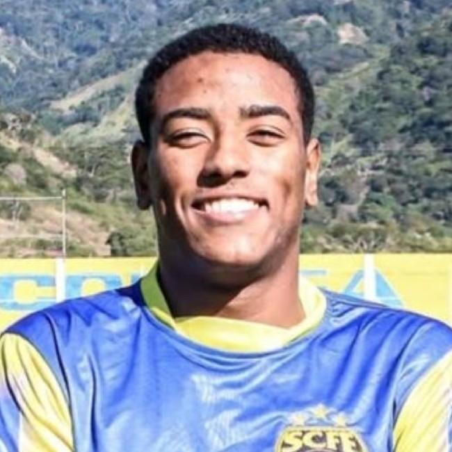 R. Silva De Andrade Viana Toledo