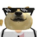 𝗕𝗲𝗹𝗹𝗶𝗴𝗼𝗹