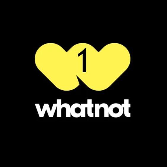 Whatnot 1