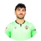 Amir Abedzadeh