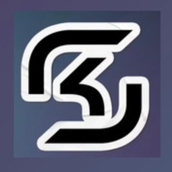 SK Gaming