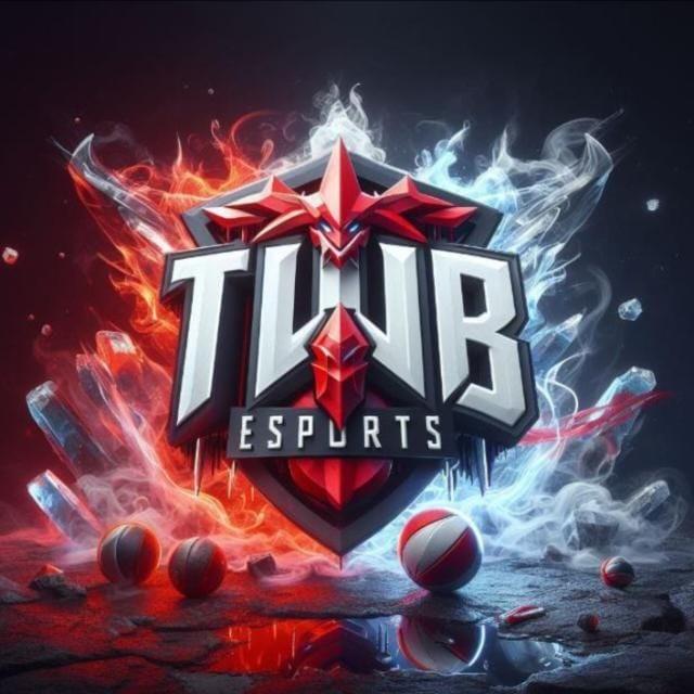 TWB ESPORTS