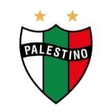 Palestino