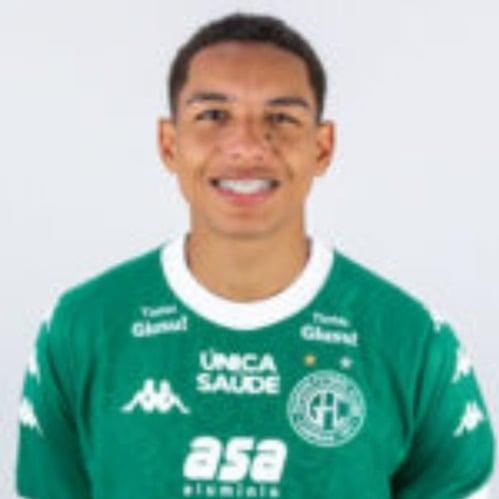 Yan Henrique Rodrigues