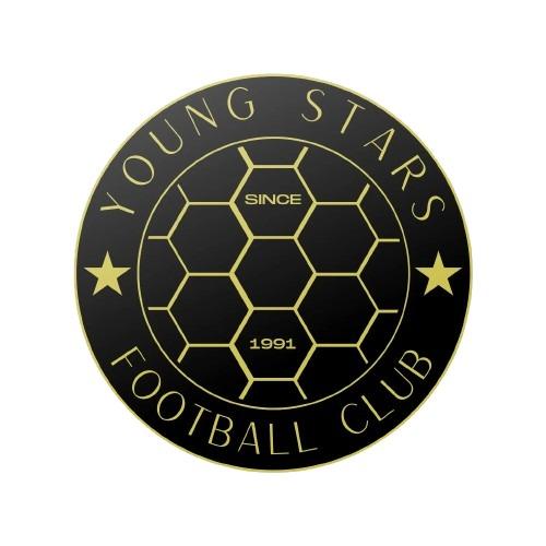 Young Stars