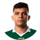 Bruno Rodrigues