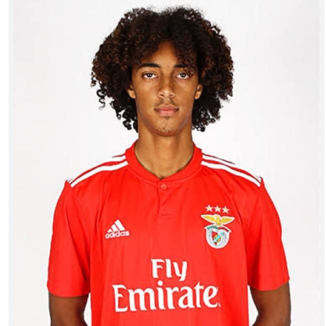 Tomás Tavares