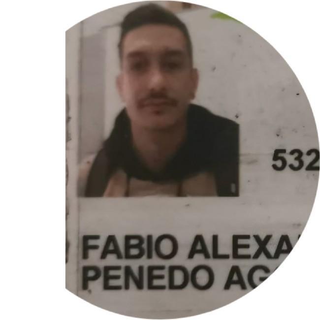 Fabio Alexandre Penedo Agostinho