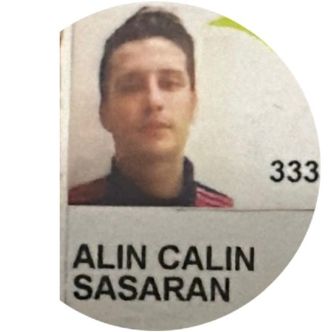 Alin Calin Sasaran