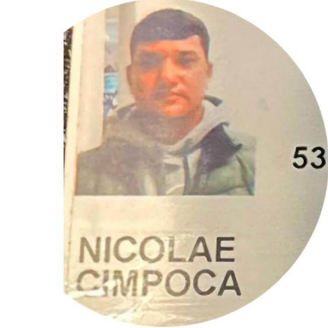 Nicolae Cimpoca
