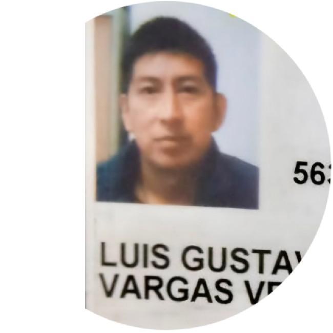 Luis Gustavo Vargas Velezaca