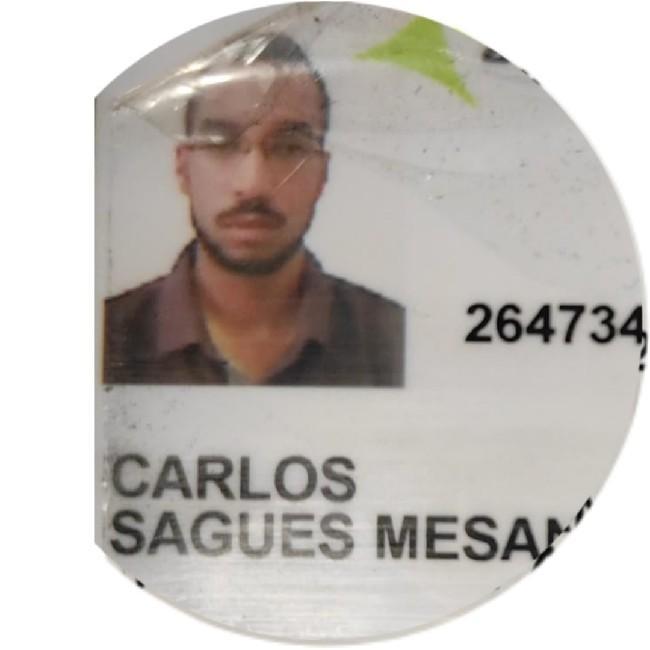 Carlos Sagues Mesanza