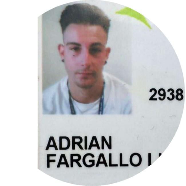 Adrian Fargallo Ludena