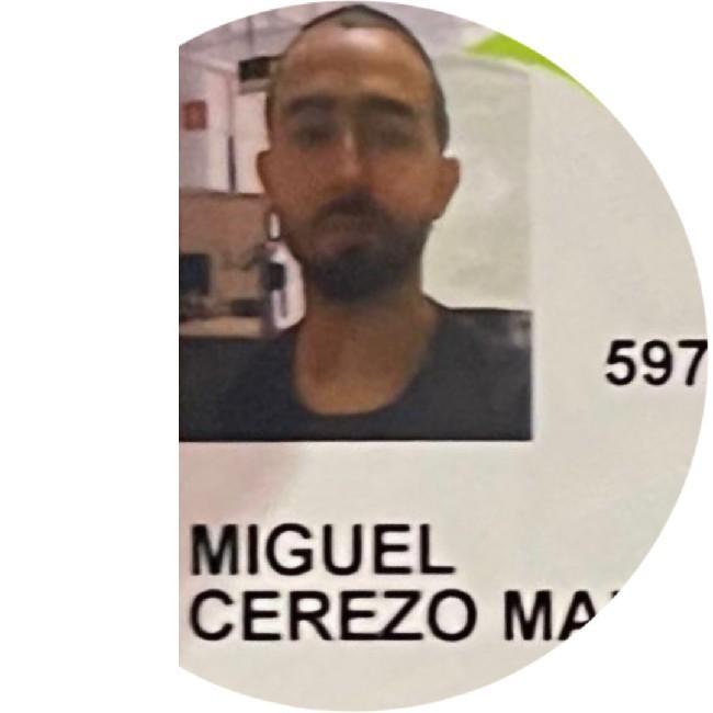 Miguel Cerezo Martinez