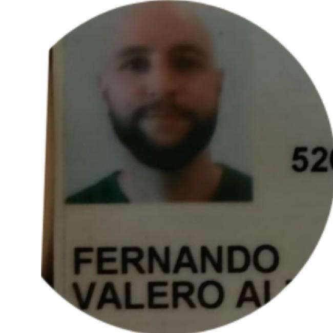 Fernando Valero Altes