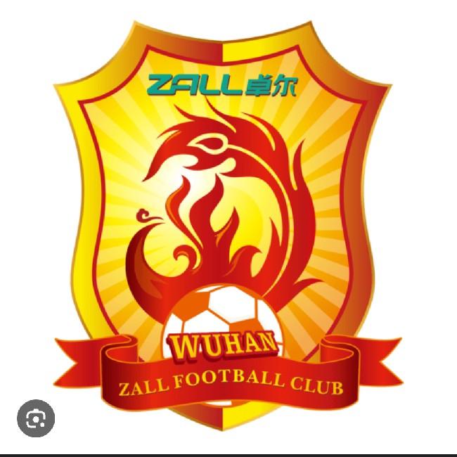 🇨🇳 Wuhan Zall