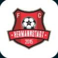 FC Hermannstadt