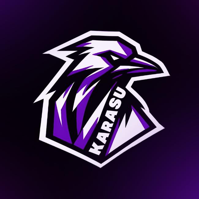 Karasu eSports