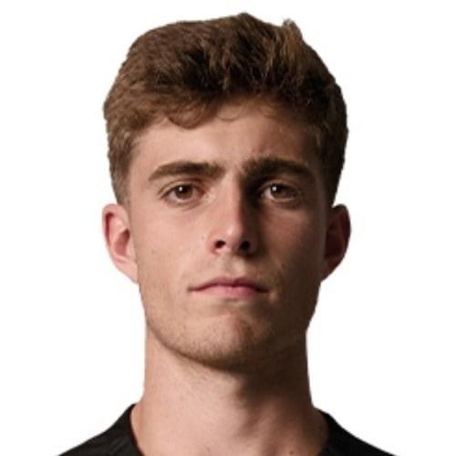 Miguel Alves