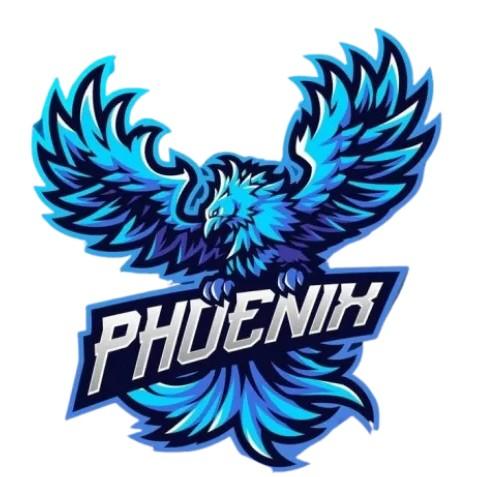 Team Blue Phoenix