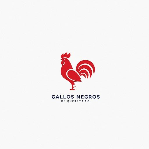 Gallos Negros de Queretaro