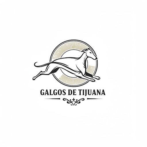 Galgos de Tijuana