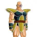 NAPPA
