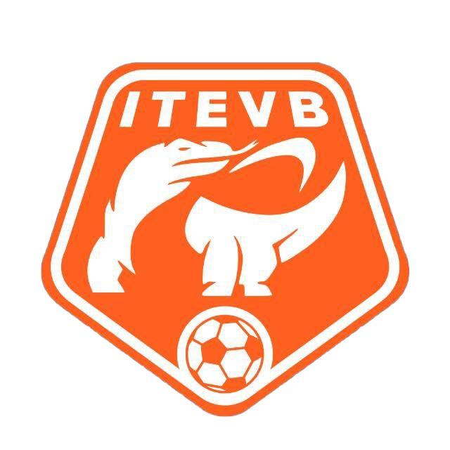 Indonesian Top Eleven Voetbal Bond League Season 10
