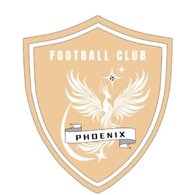 The Phoenix’s Arrival