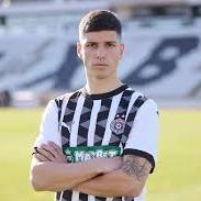 Milan Vukotic
