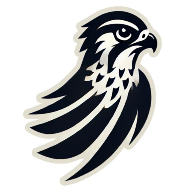 FALCONS JR