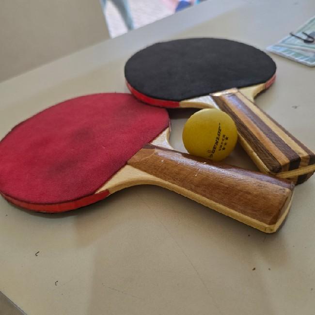 Ping Pong dos Amigos