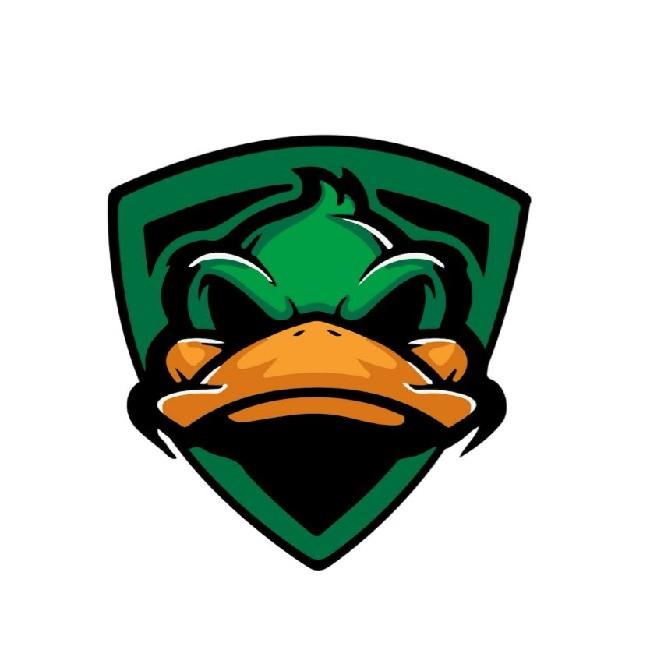 DUCKS