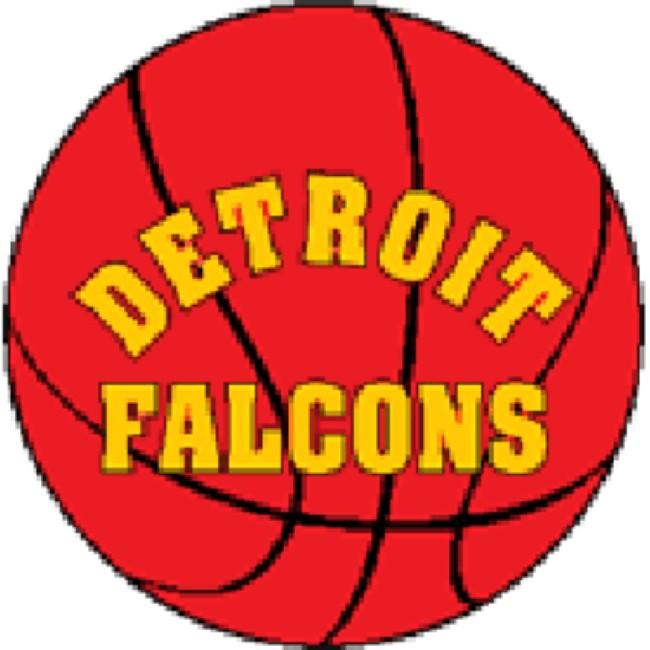DETROIT FALCONS