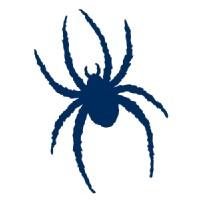 Richmond Spiders