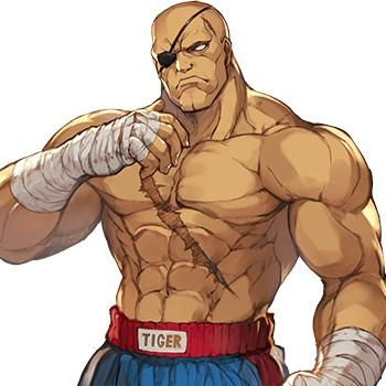 Sagat