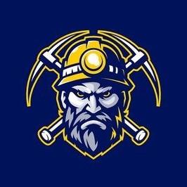 Porto Velho Miners