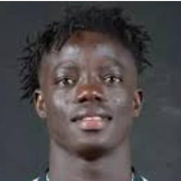 Micheal Adedokun