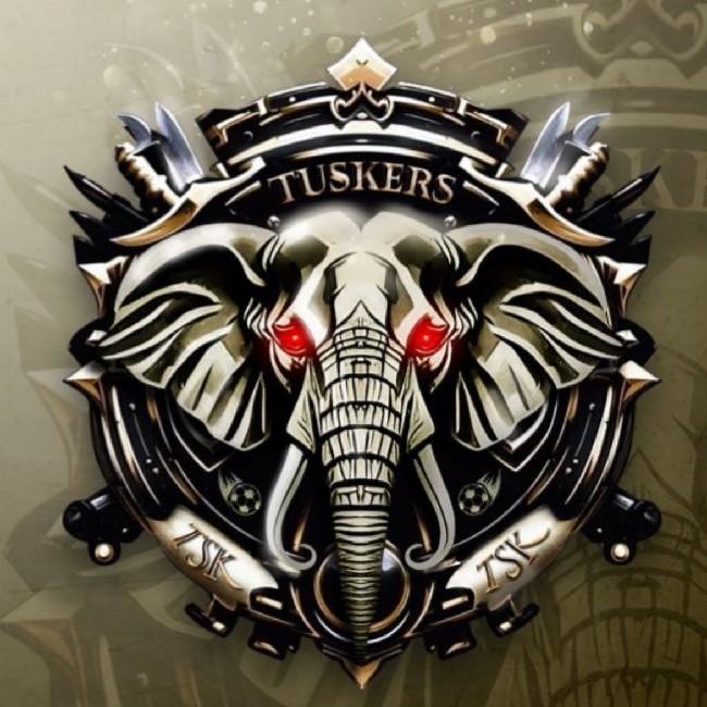 TUSKERS ESPORTS