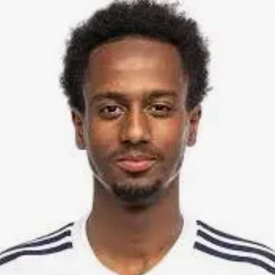 Ali Ahmed