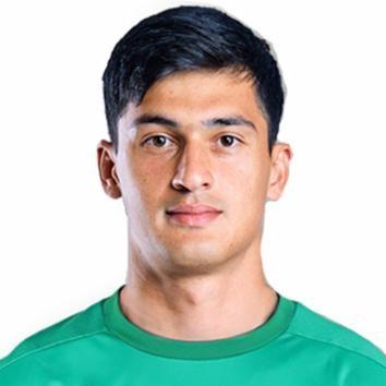 Виталий Гудиев