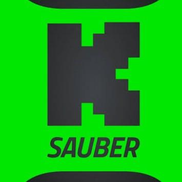 STAKE SAUBER