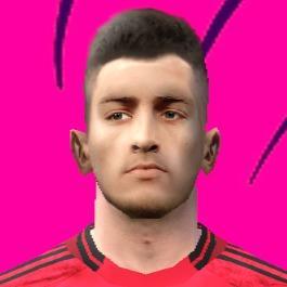 Dalot