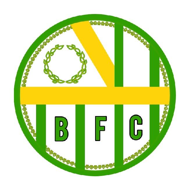 Branik FC