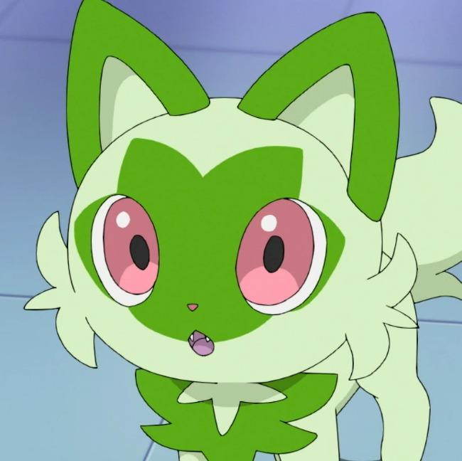 Sprigatito