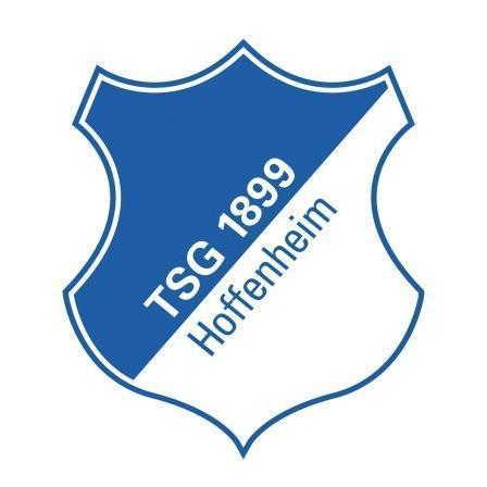 (🇩🇪) Hoffenheim
