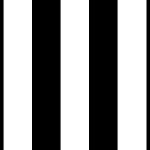 Collingwood Magpies