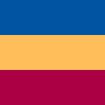 Brisbane Lions