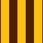Hawthorn Hawks