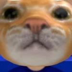 MonkeyPieceXD